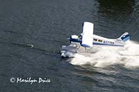 Sea plane landing