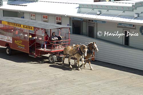 Seahorse Trolley, Ketchikan, AK