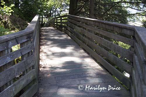 Modern version of Married Man Trail, Ketchikan, AK
