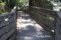 Modern version of Married Man Trail, Ketchikan, AK