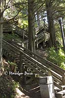 One of the stair roads leading to Married Man Trail, Ketchikan, AK