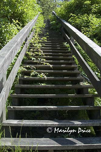 Looking up a stair street, Ketchikan, AK