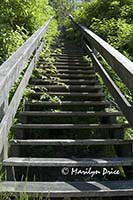 Looking up a stair street, Ketchikan, AK