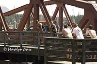 Crazy teens jumping into Ketchikan River, Ketchikan, AK