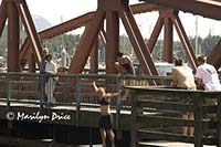 Crazy teens jumping into Ketchikan River, Ketchikan, AK