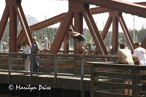 Crazy teens jumping into Ketchikan River, Ketchikan, AK