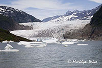 Mendenhall Glacier, Juneau, AK