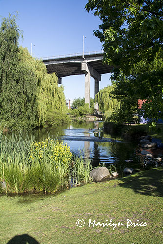 Small park on Granville Island, Vancouver, BC