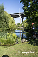 Small park on Granville Island, Vancouver, BC