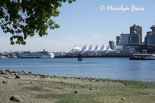 A cruise ship at Canada Place, Vancouver, BC
