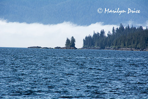 Misty Fjords National Monument Wilderness, AK