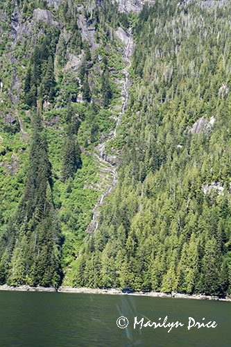 A ribbon waterfall, Misty Fjords National Monument Wilderness, AK