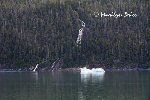 Waterfall and ice, Tracy Arm, AK