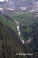 Waterfall, Tracy Arm, AK