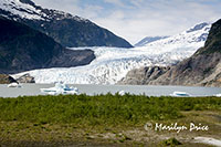 Mendenhall Glacier, Juneau, AK