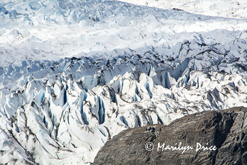 Mendenhall Glacier, Juneau, AK