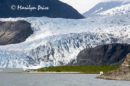 Mendenhall Glacier, Juneau, AK
