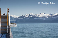Mountains surrounding Yakutat Bay, AK