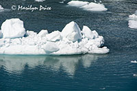 Growler ice, Yakutat Bay, AK