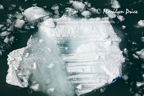 Growler ice, Yakutat Bay, AK