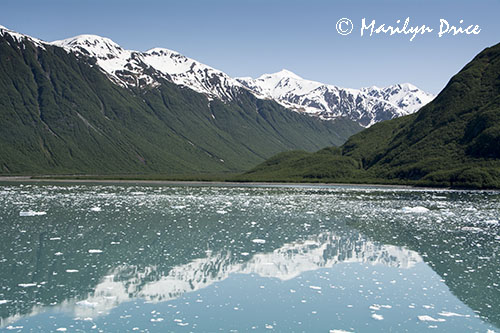 Glacier carved side valley, Yakutat Bay, AK