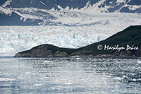 Hubbard Glacier, Yakutat Bay, AK