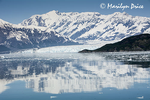 Hubbard Glacier, Yakutat Bay, AK