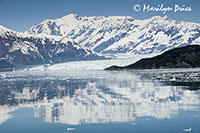 Hubbard Glacier, Yakutat Bay, AK