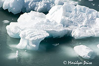 Growler ice, Yakutat Bay, AK