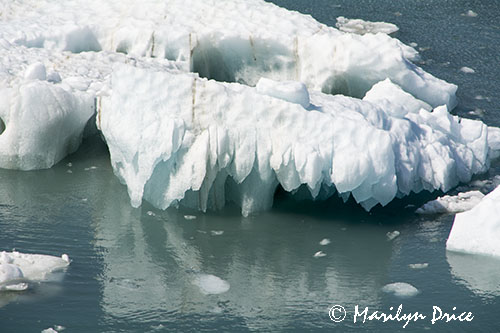Growler ice, Yakutat Bay, AK