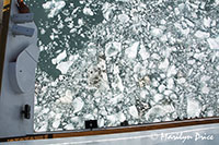 Looking straight down the side of the ship at the 'ice crispies', Yakutat Bay, AK