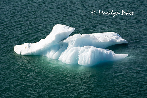Growler ice, Yakutat Bay, AK