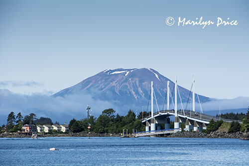 Bridge in Sitka, AK