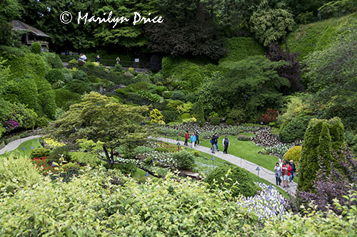 Sunken Garden, Butchart Gardens, Victoria, BC