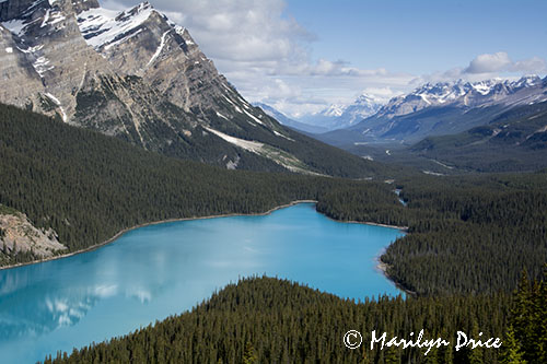 Peyto Lake, Icefields Parkway, AB