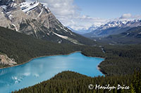 Peyto Lake, Icefields Parkway, AB