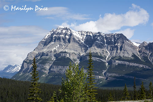 Icefields Parkway, AB