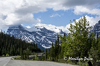 Icefields Parkway, AB