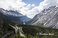 Icefields Parkway, AB