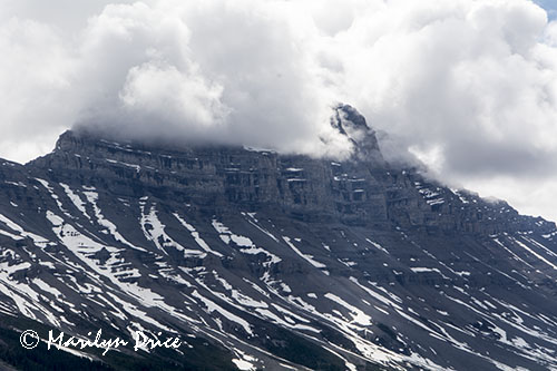 Icefields Parkway, AB