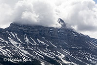 Icefields Parkway, AB
