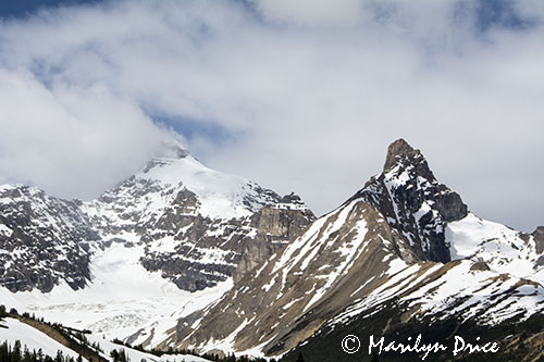 Icefields Parkway, AB