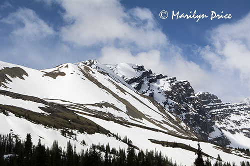 Icefields Parkway, AB