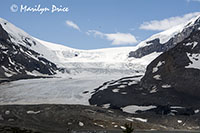 Athabasca Glacier, Columbia Ice Fields, Icefields Parkway, AB