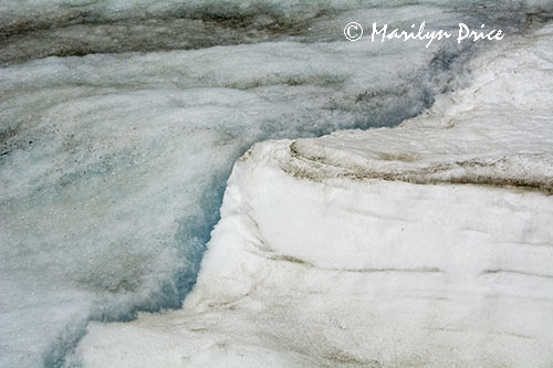 Snow melt alongside the bus, Columbia Ice Fields, Icefields Parkway, AB