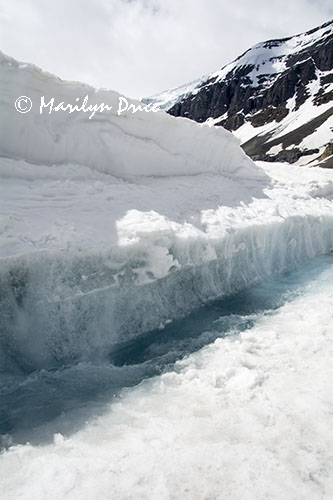 Melting snow, Athabasca Glacier, Columbia Ice Fields, Icefields Parkway, AB