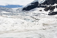 Melting snow, Athabasca Glacier, Columbia Ice Fields, Icefields Parkway, AB