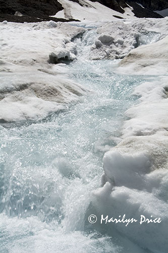 Melting snow, Athabasca Glacier, Columbia Ice Fields, Icefields Parkway, AB