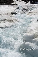 Melting snow, Athabasca Glacier, Columbia Ice Fields, Icefields Parkway, AB