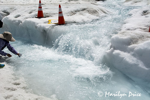 Melting snow, Athabasca Glacier, Columbia Ice Fields, Icefields Parkway, AB